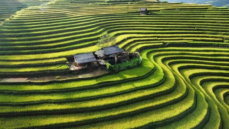 Homestay Hoa Thao - Bus ,Trek & Motorbike Mu Cang Chai Eksteriør bilde